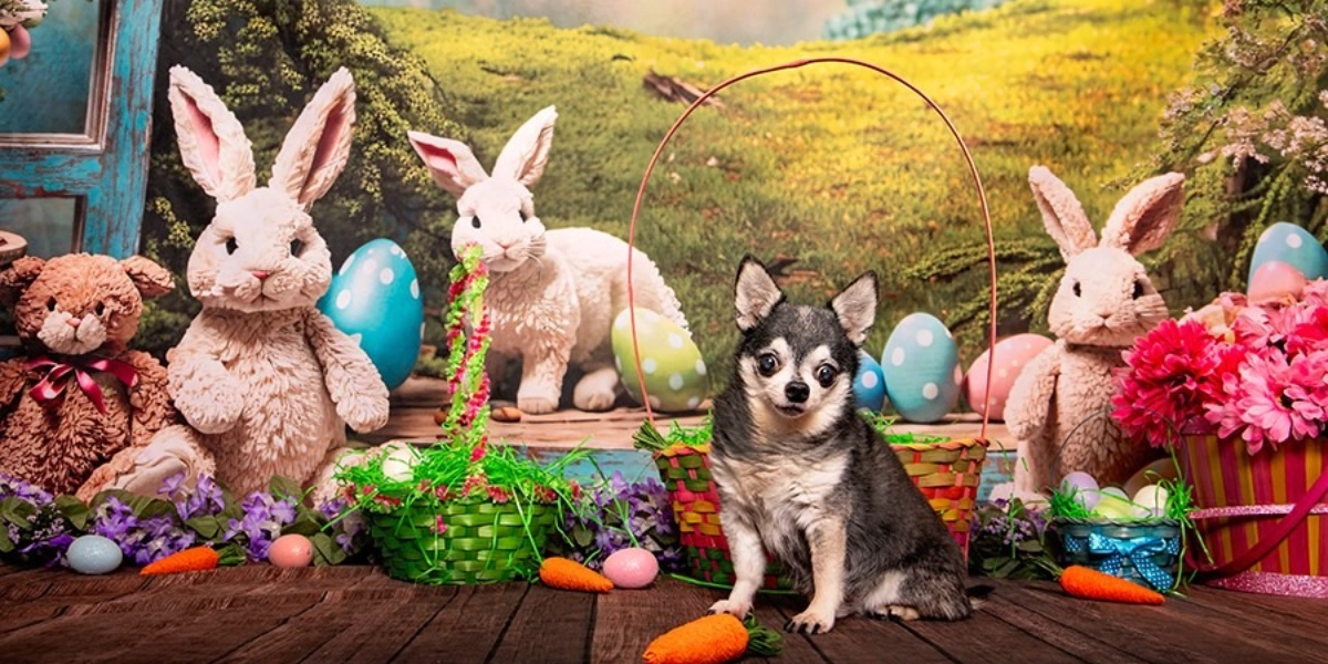 Event image for Pet Valu Shawnessy Easter Portraits March 16