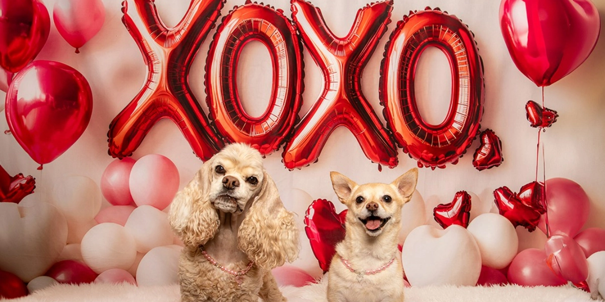 Event image for Central Bark Valentine Portraits February 9