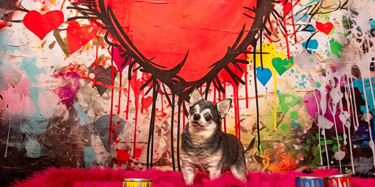 Event image for Pet Valu Shawnessy Valentine Portraits February 3