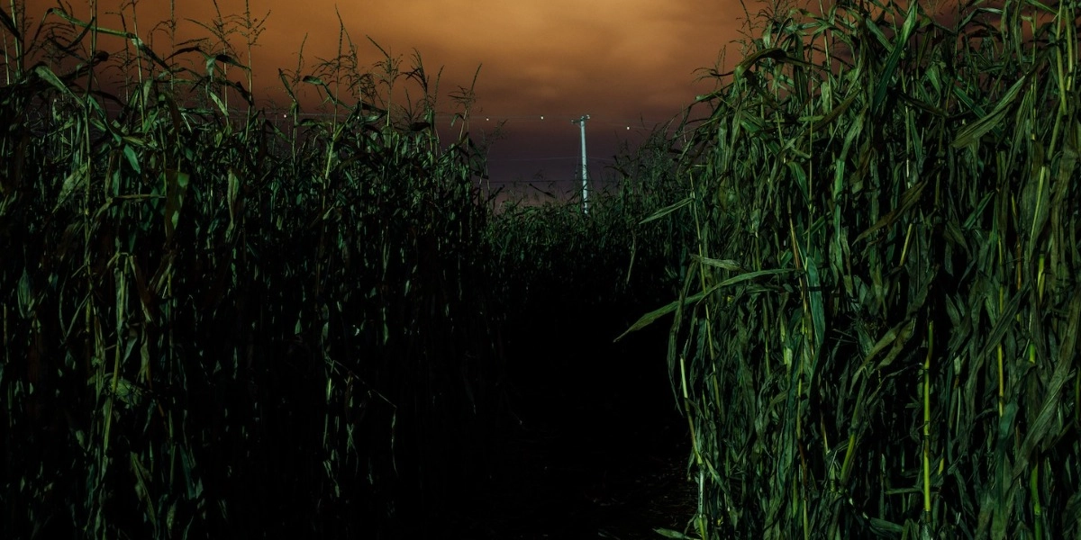 Event image for Festival of Fear at Galey Farms