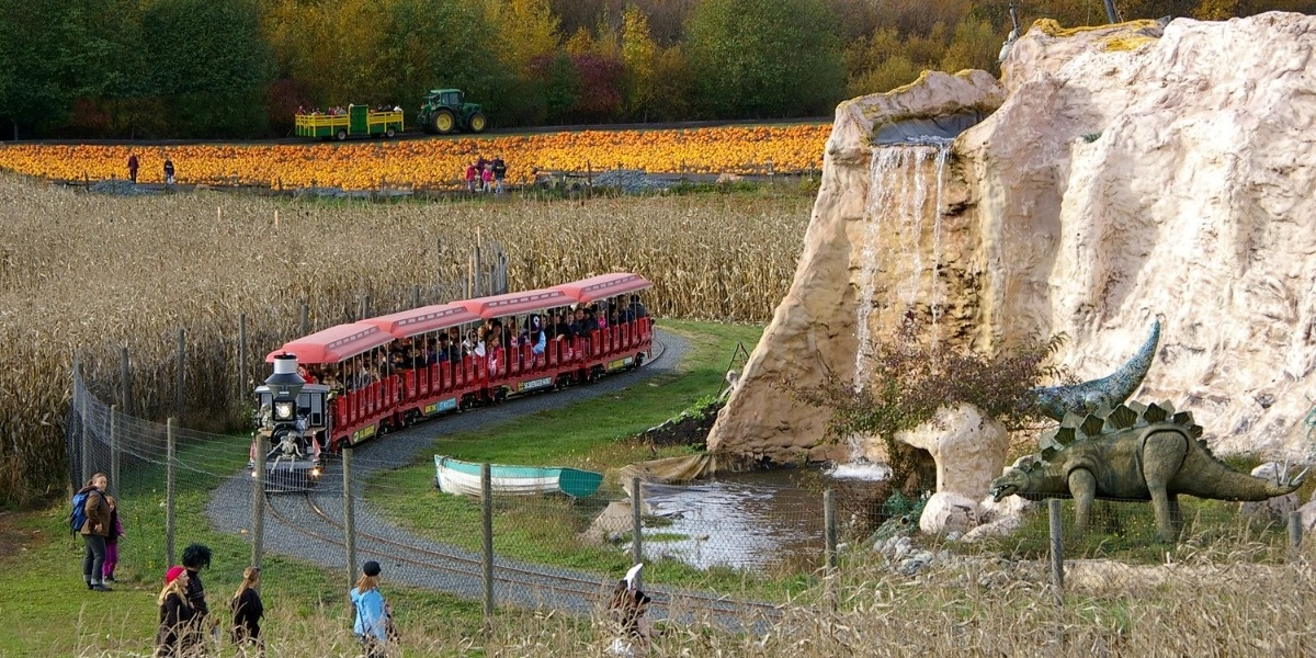 Event image for Pumpkinfest at Galey Farms