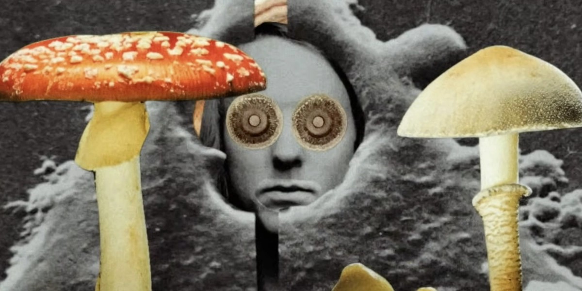 Event image for GIRAF21: WINSTON HACKING ARTIST RETROSPECTIVE