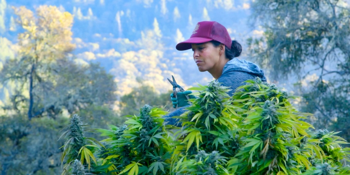 Event image for Lady Buds: Bluntly Wrapped in Stigma