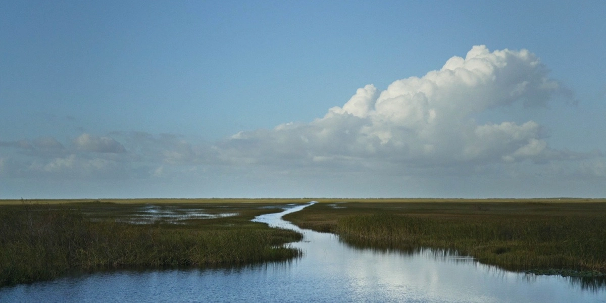 Event image for River of Grass