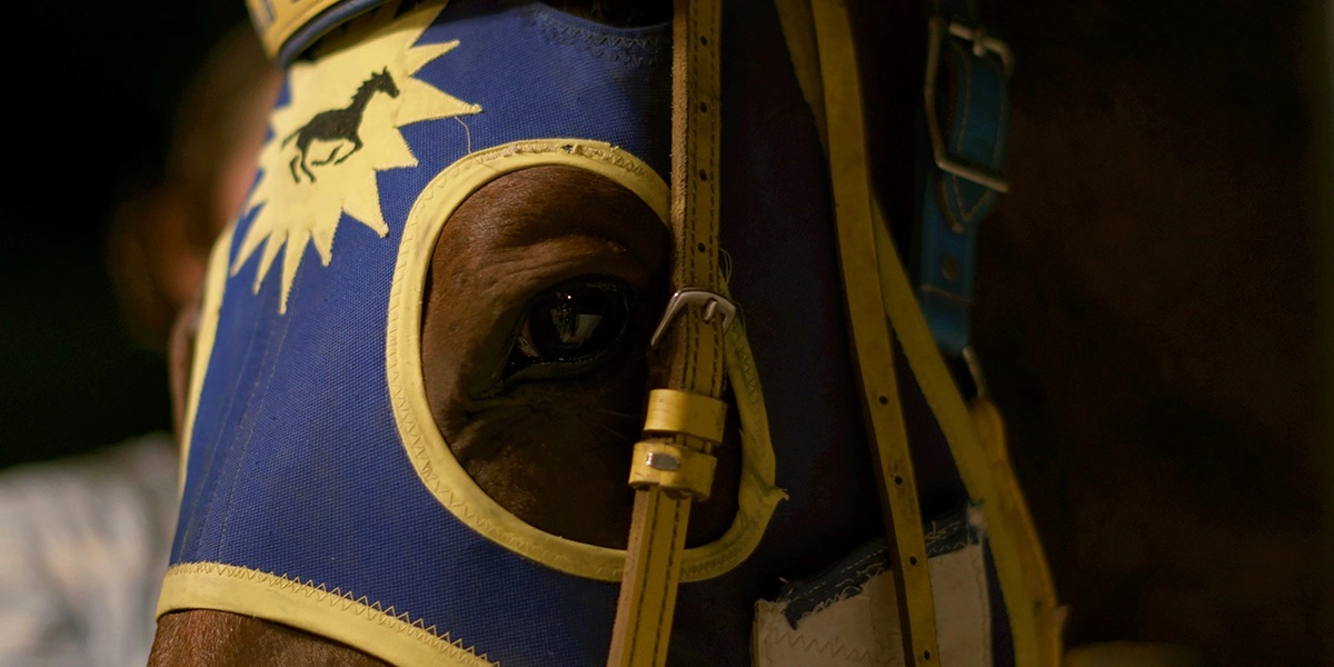 Event image for Aitamaako'tamisskapi Natosi: Before the Sun