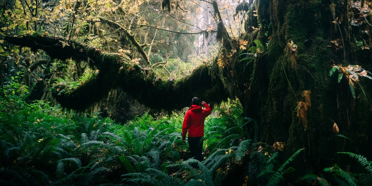 Event image for Rematriation (Online)