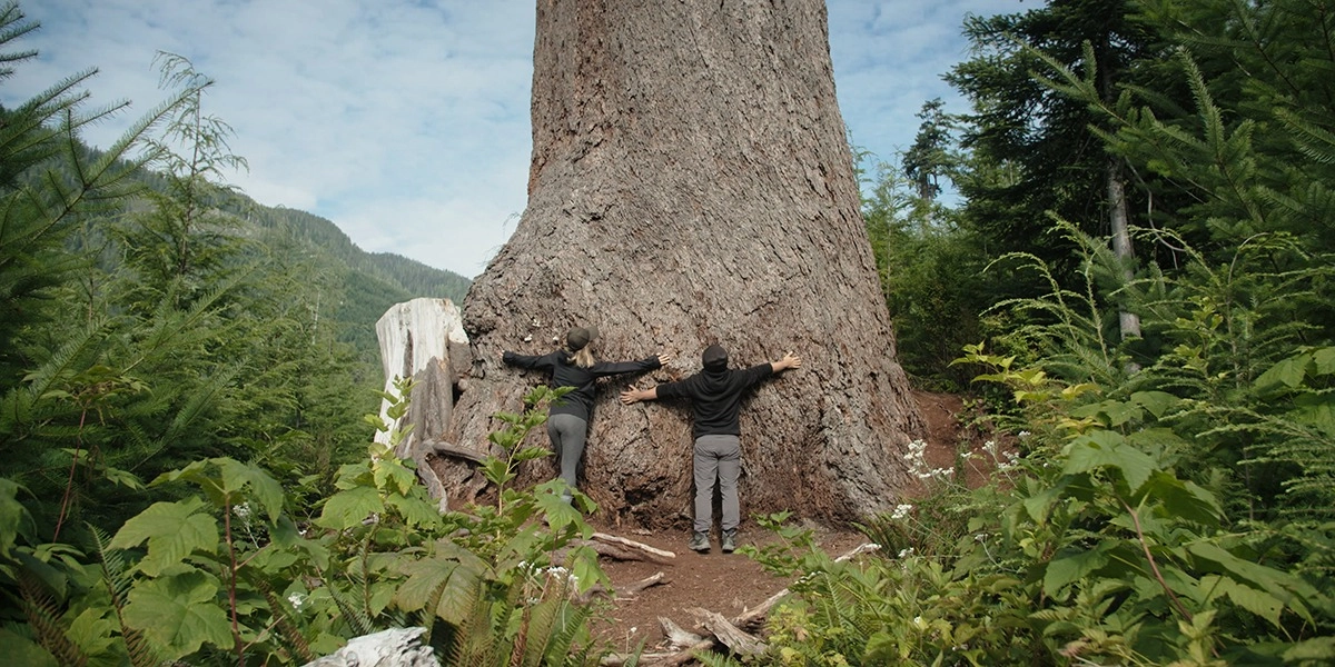 Event image for Silvicola