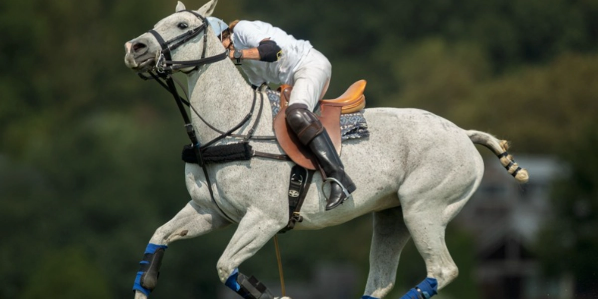 Event image for Saturday Tailgating: Monty Waterbury National Cup