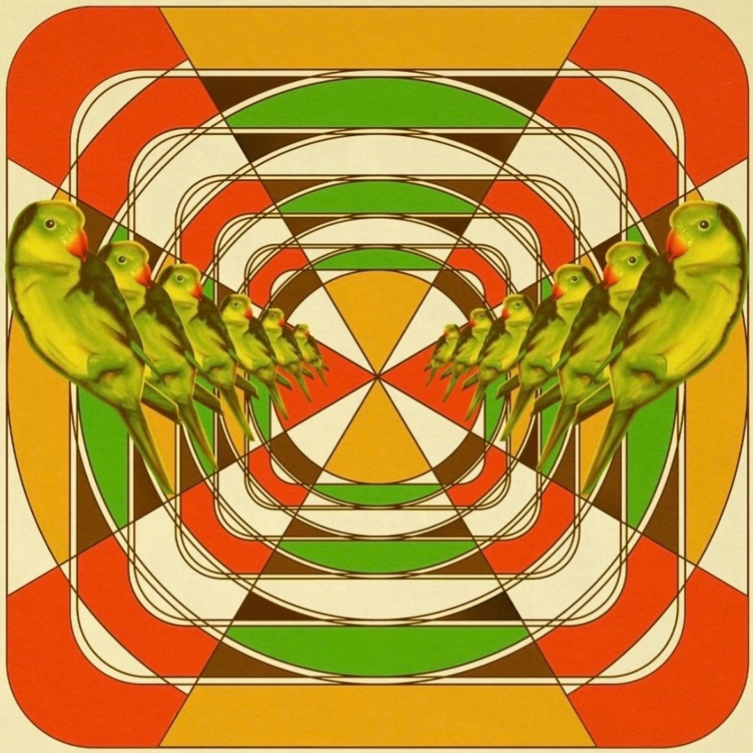 Event image for Foxwarren at Meteor