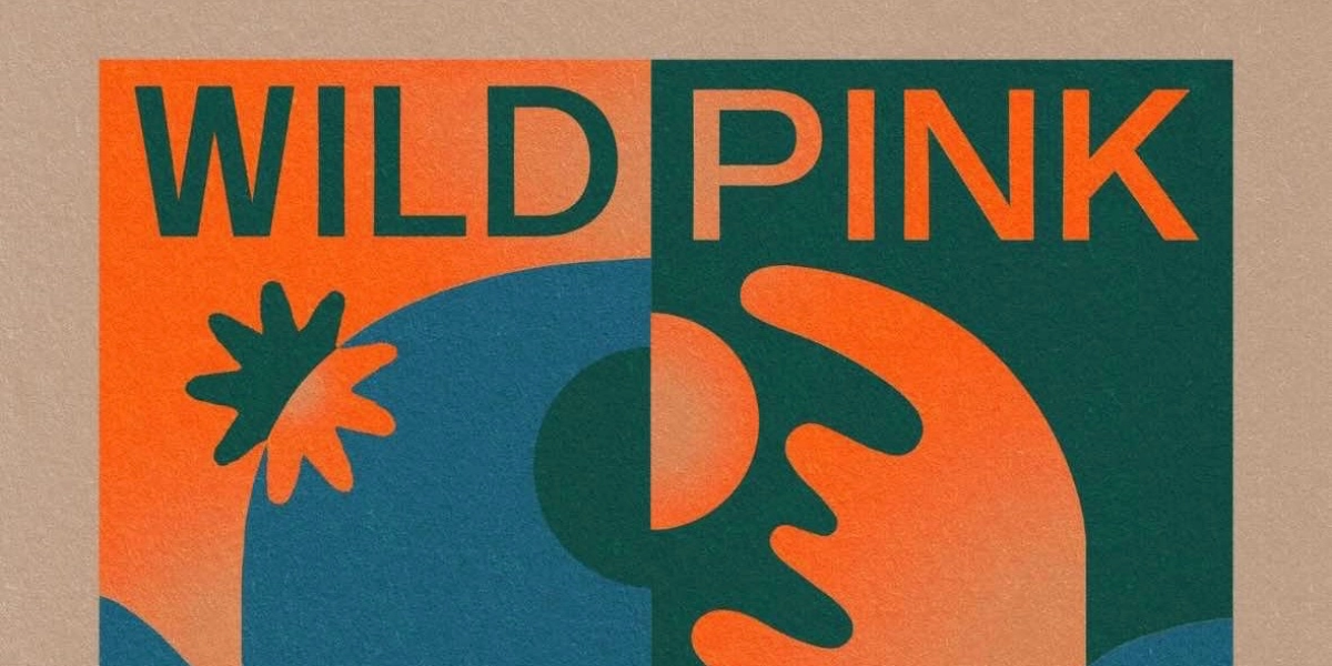 Event image for Wild Pink / Friendship at Meteor