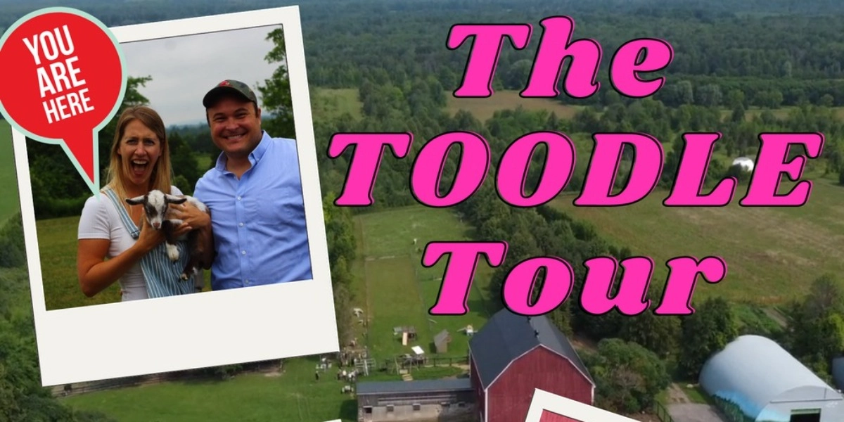 Event image for Toodle Tour at the Haute Goat Farm