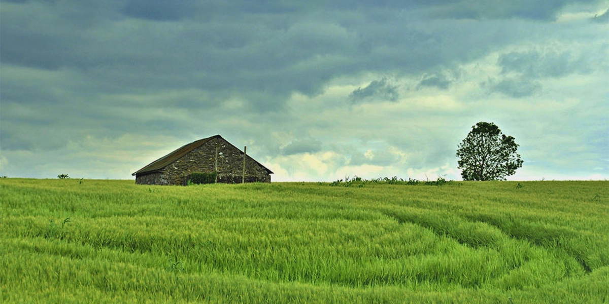 Event image for Looking For Friends: Something Like The Antiques Roadshow