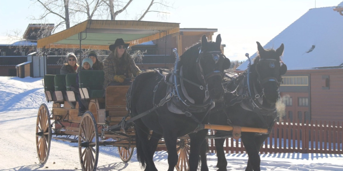 Event image for Spring Carriage Rides