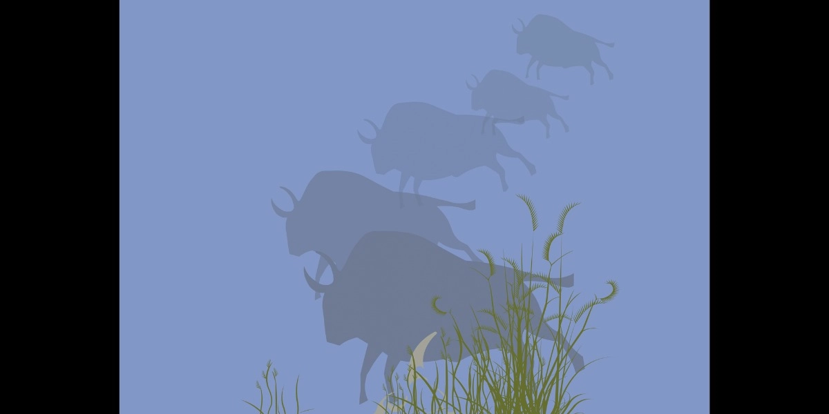 Event image for Bison - Exclusive Exhibit Viewing