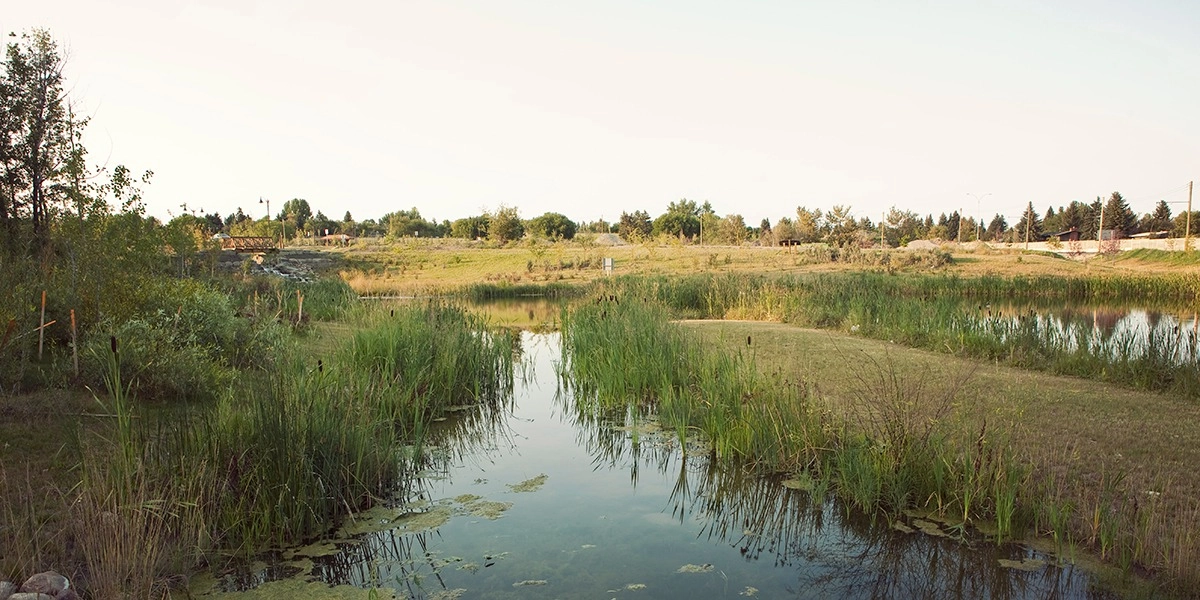 Event image for Discovery Day - September 25