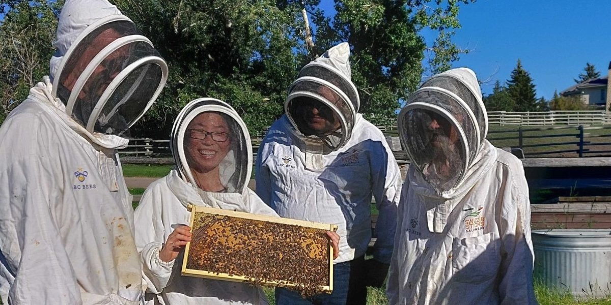 Event image for 2024 Honey Bee Hive Tours