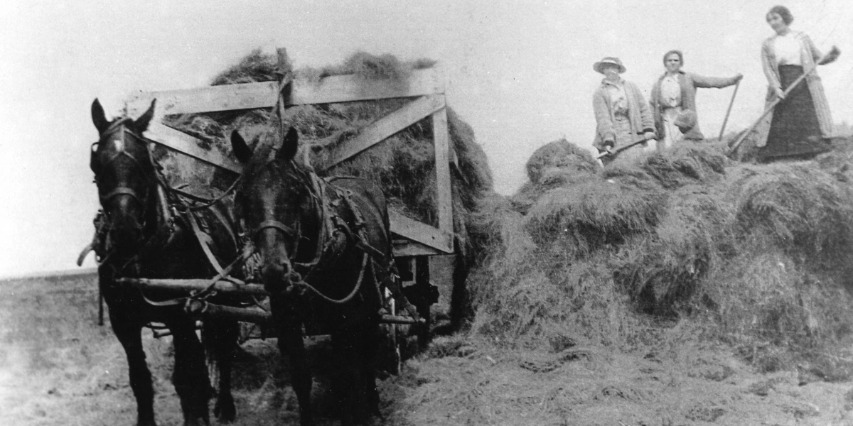 Event image for A New Life on the Land: Jewish Farmers in Canada - Film Screening