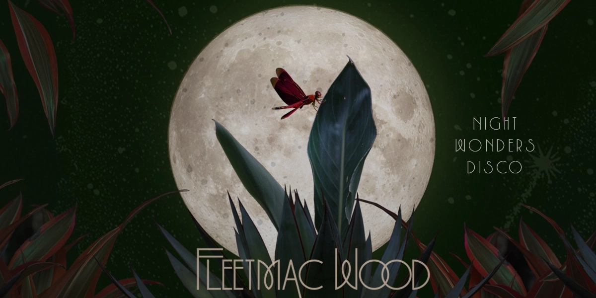 Event image for Fleetmac Wood: Night Wonders Disco