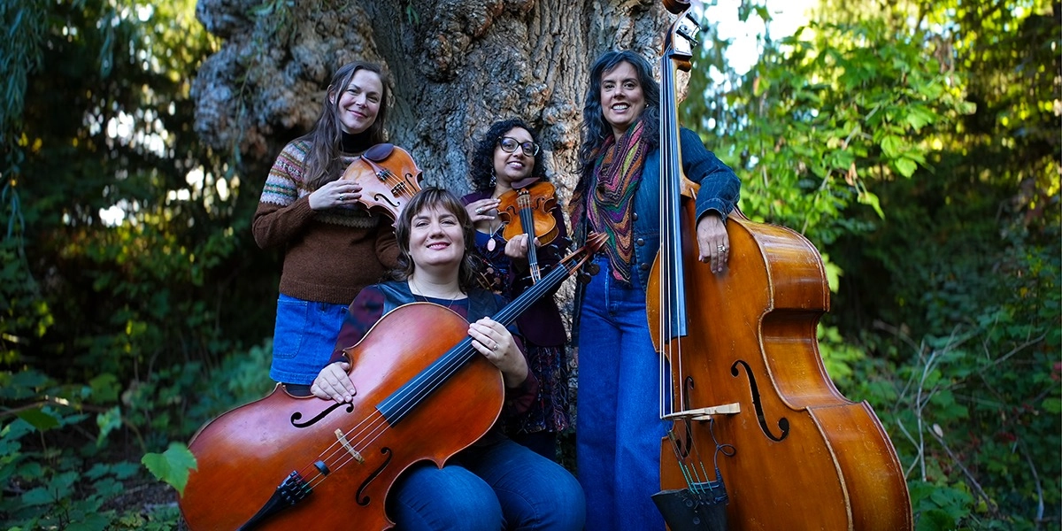 Event image for Cicada Woods Album Release with guests Medusa Quartet