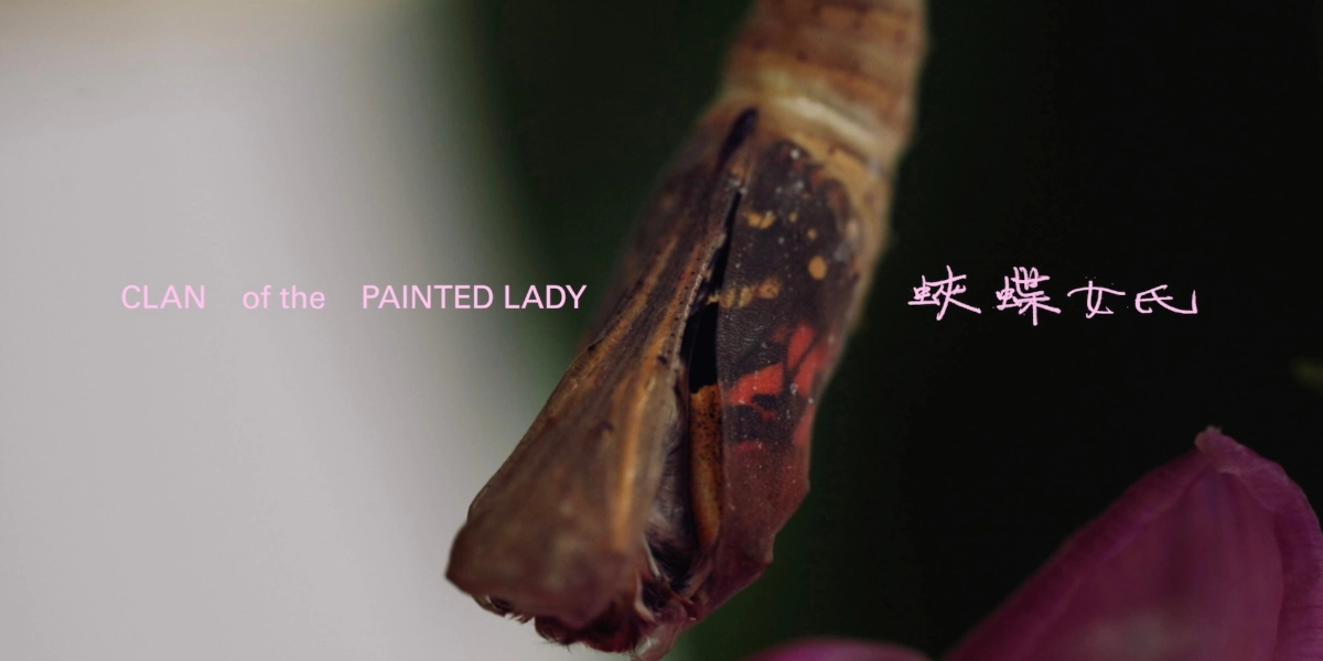 Event image for Clan of the Painted Lady Toronto Screening
