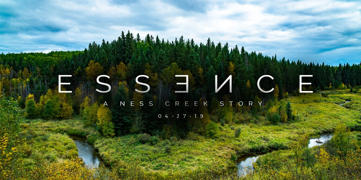 Event image for Spring Fling - featuring Crooked Creek, Soul Shakedown and The Essence Documentary!