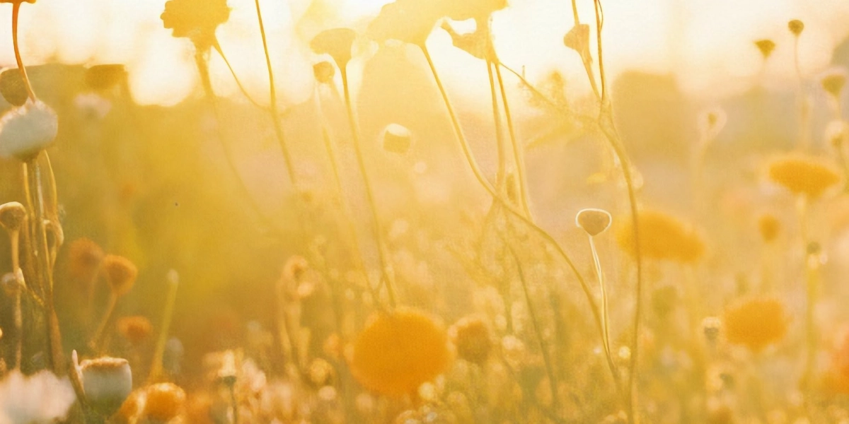 Event image for "Living room"- community sharing space