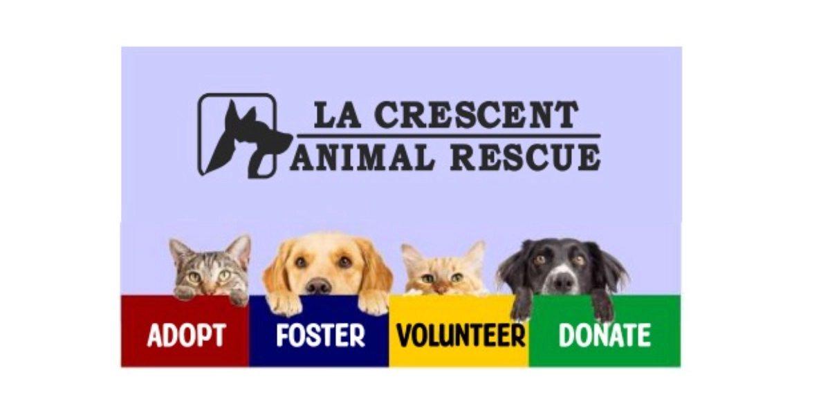 Event image for Canine Miscommunication: Are We Setting Our Dogs Up for Failure?