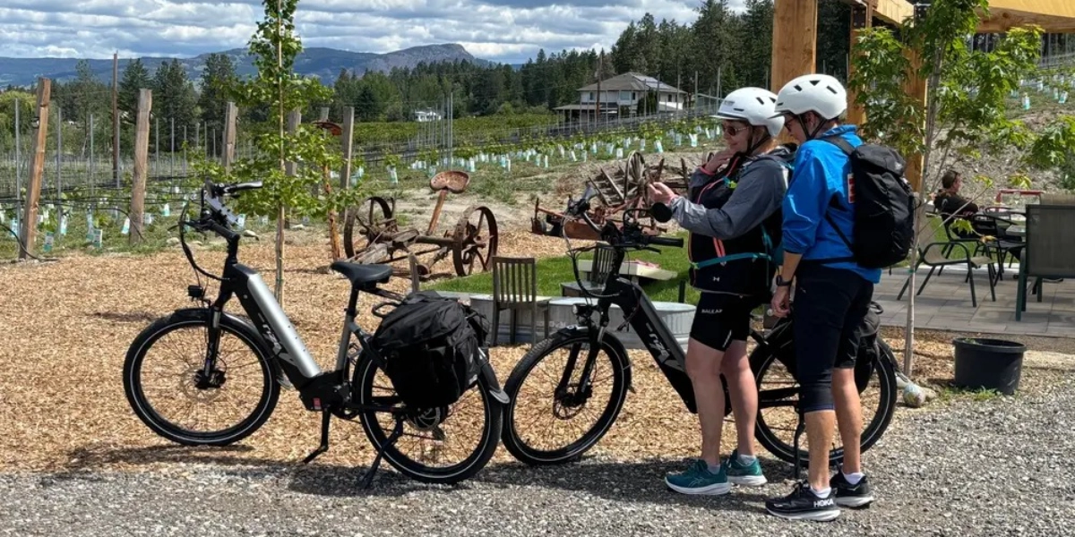 Event image for E-Bike Wine Tour with Tastings and Lunch