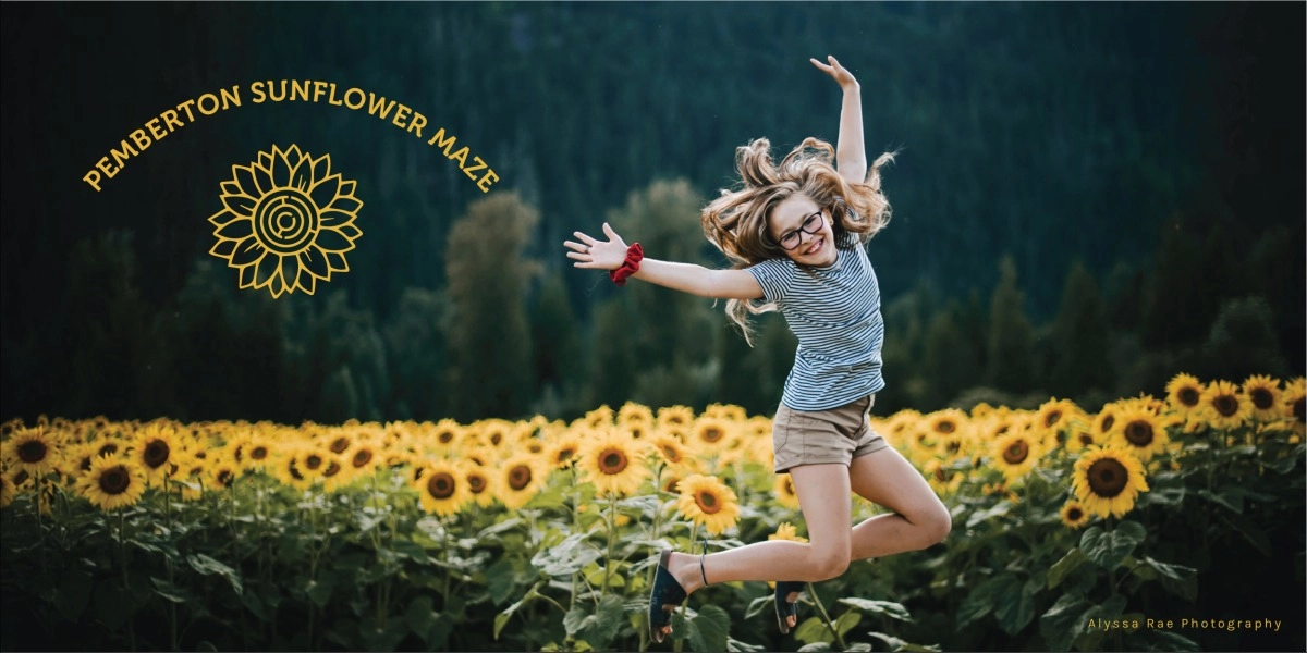Event image for Pemberton Sunflower Maze