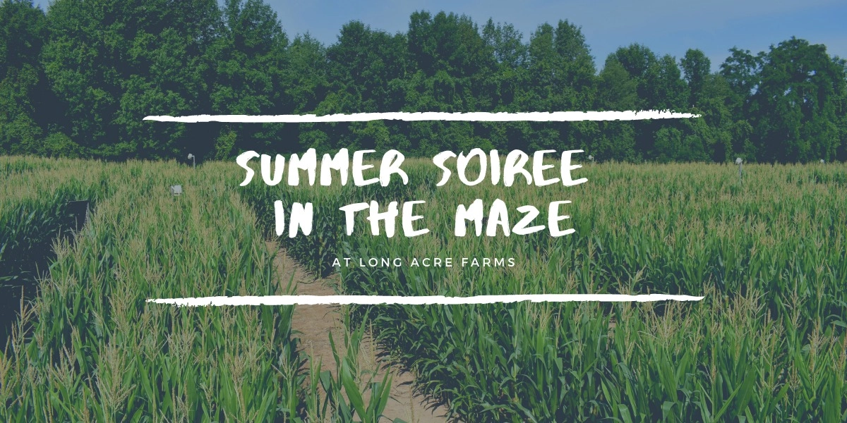 Event image for Summer Soiree in the Maze