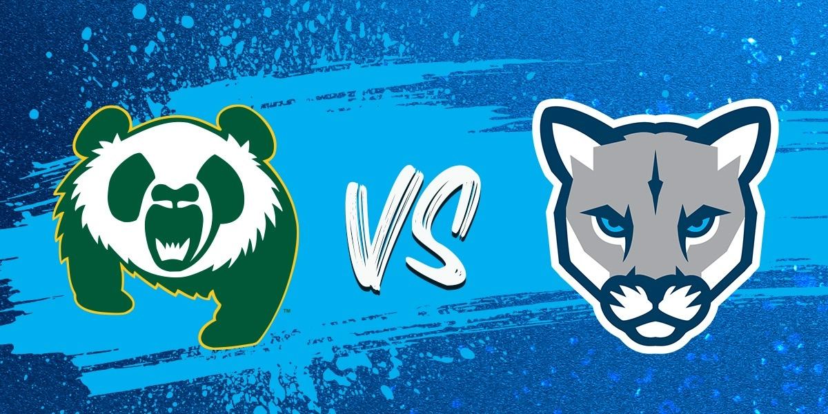 Event image for MRU Cougars Basketball vs ALB Pandas/Golden Bears