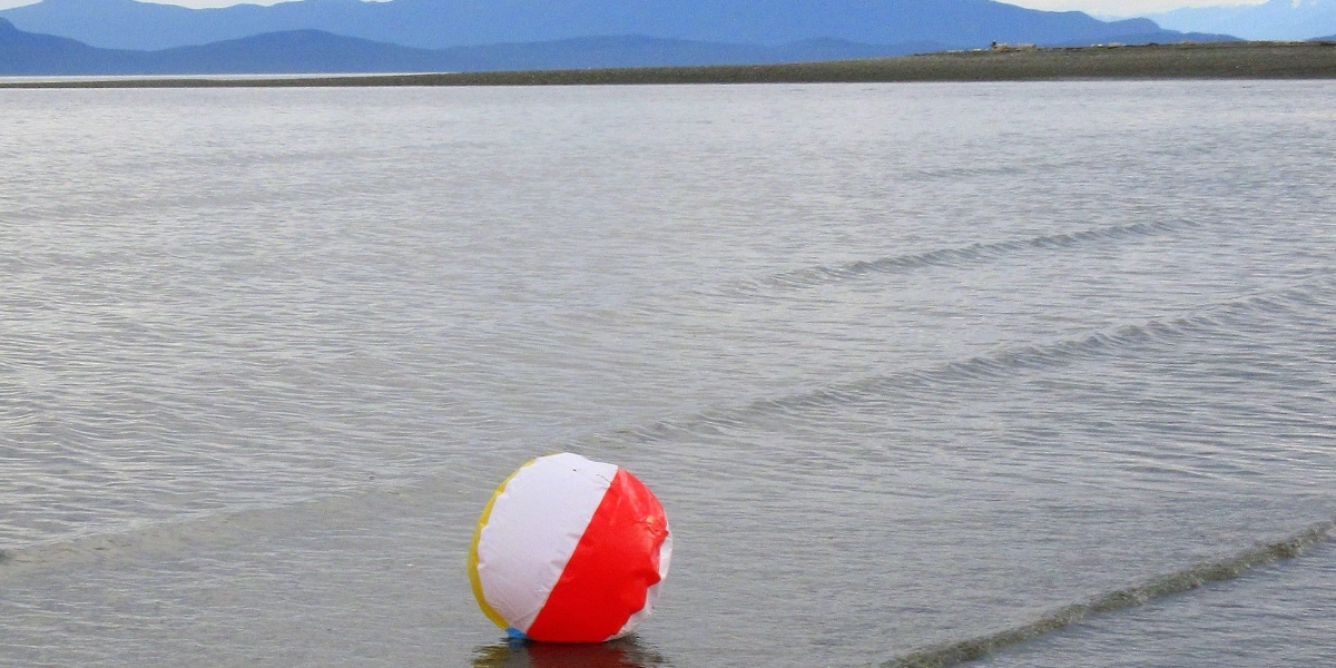 Event image for Working Hypothesis by Charlie Whelton