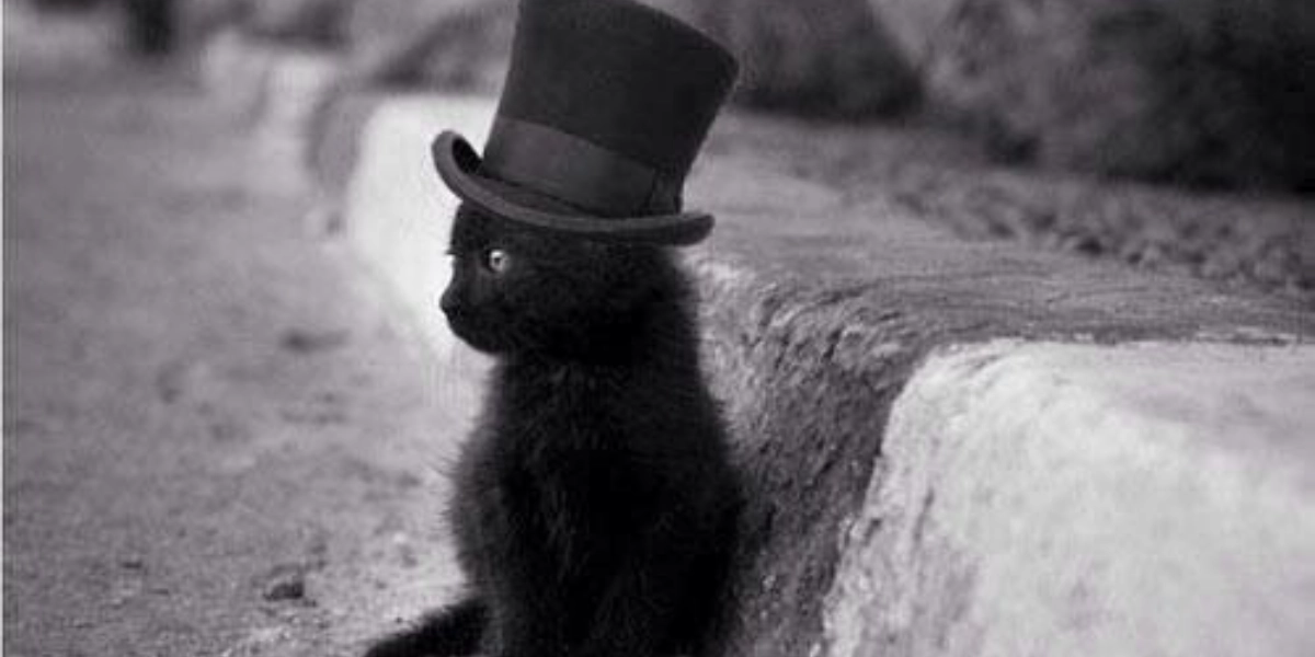 Event image for Black Cat 10 Minute Play Preview & Season Launch