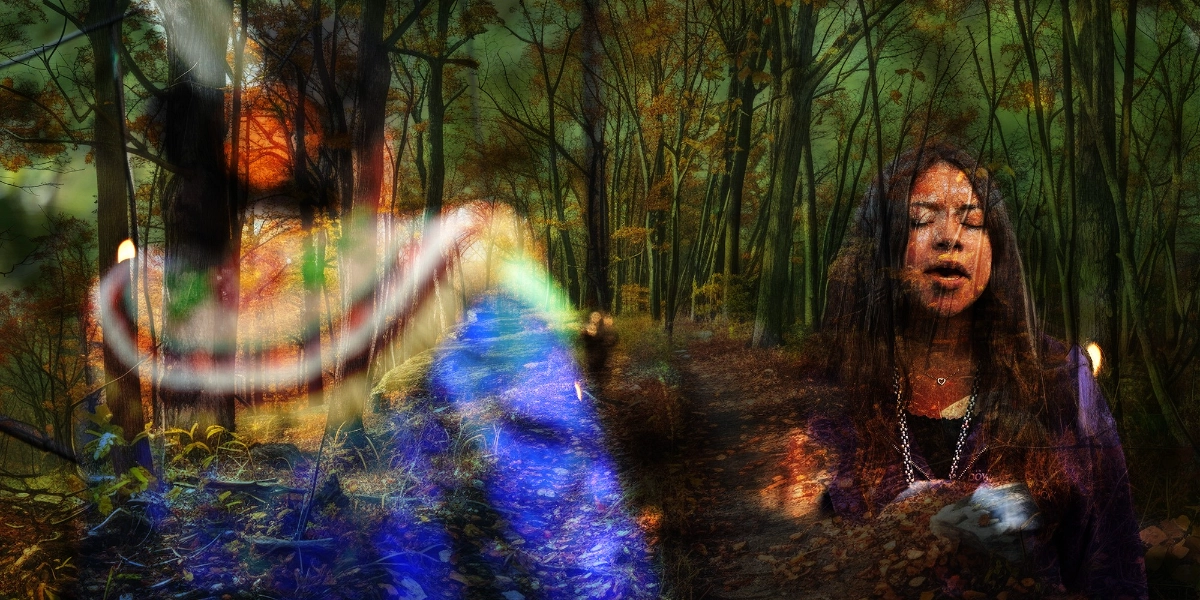 Event image for Reawakening: Sounds from the Forest