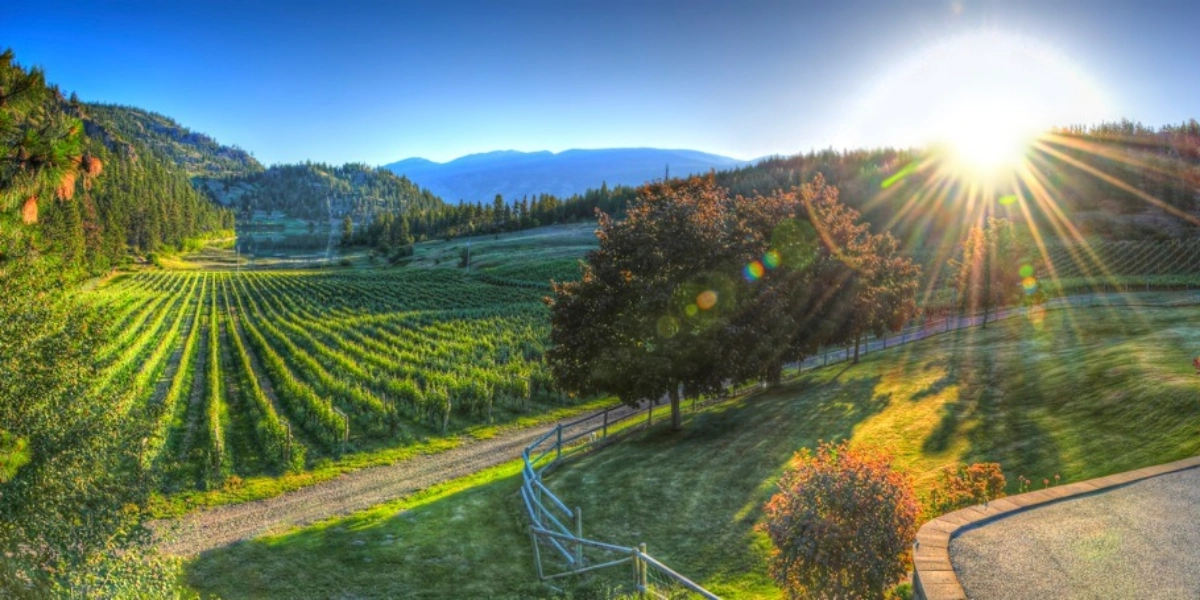 Event image for "Come Together" A Celebration of Great Neighbors