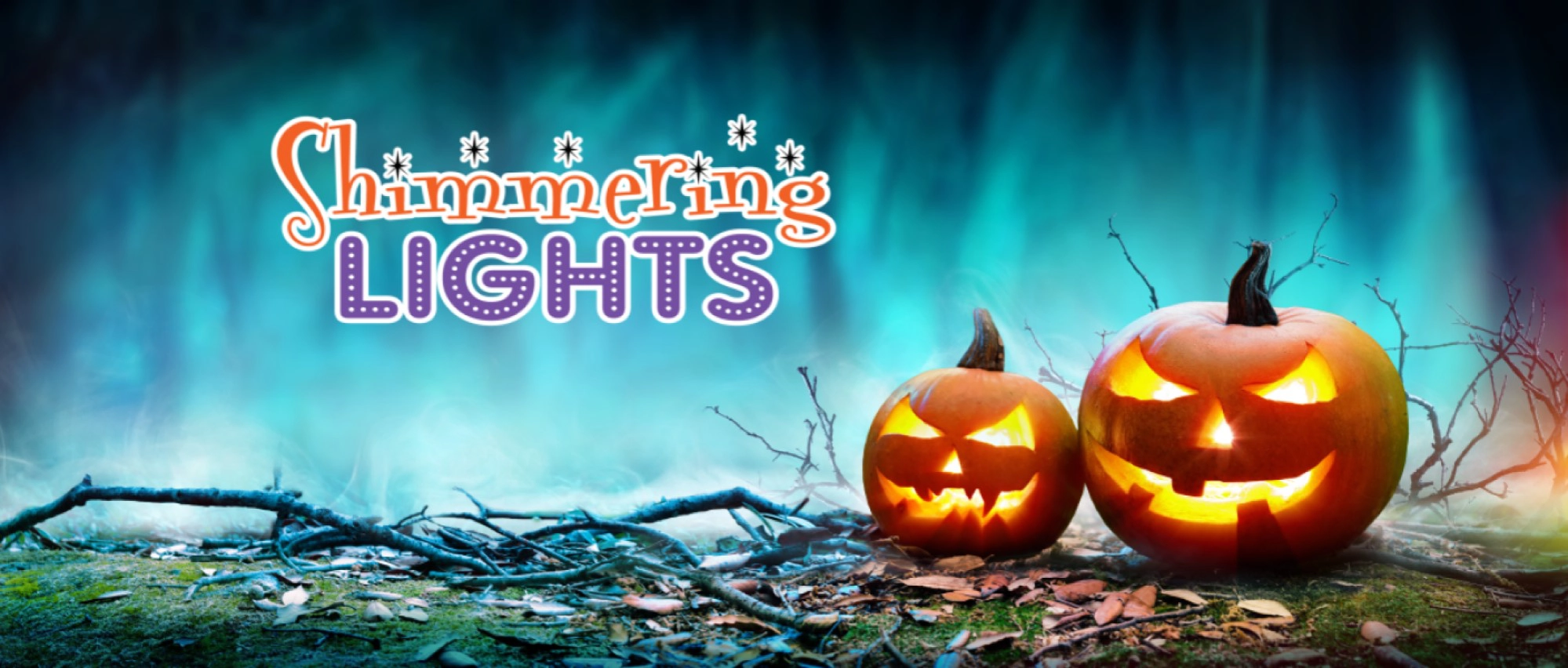 Event image for Shimmering Lights Fall