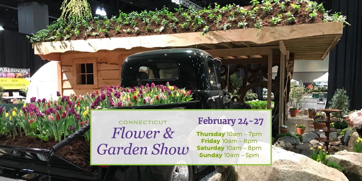 Event image for CT Flower & Garden Show 2022