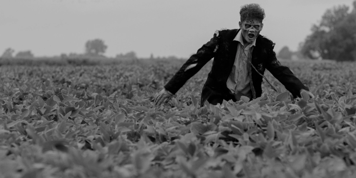 Event image for VAMPIRE ZOMBIES FROM SPACE!