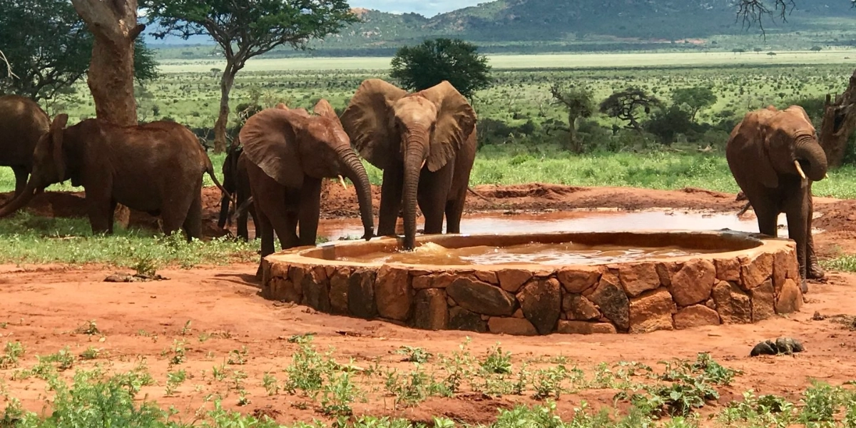 Event image for WHY ON EARTH