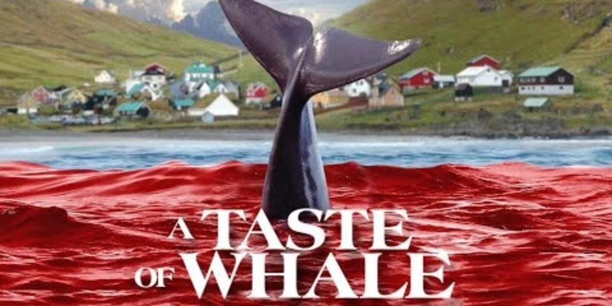 Event image for A TASTE OF WHALE