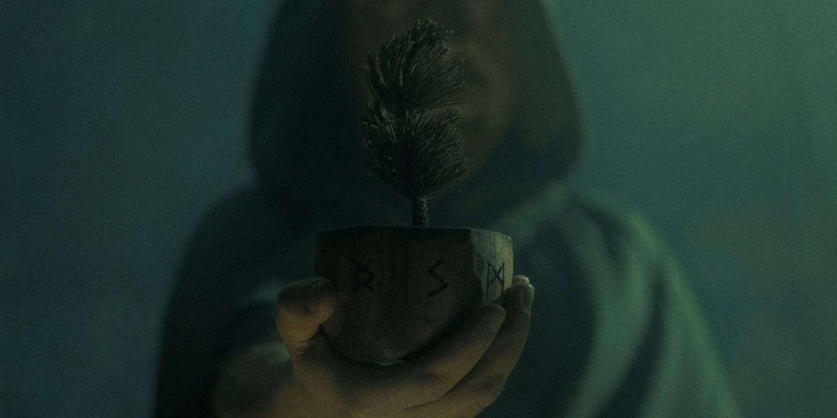 Event image for THE SECRET LONG TREE SOCIETY