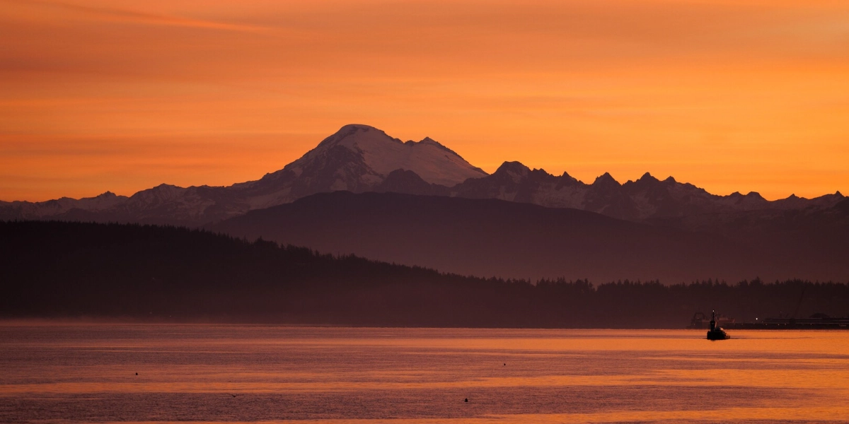 Event image for THE SNAKE AND THE WHALE