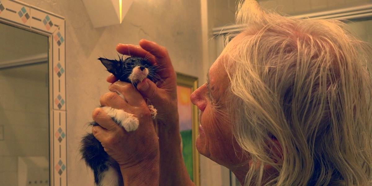 Event image for CRAZY CAT LADY