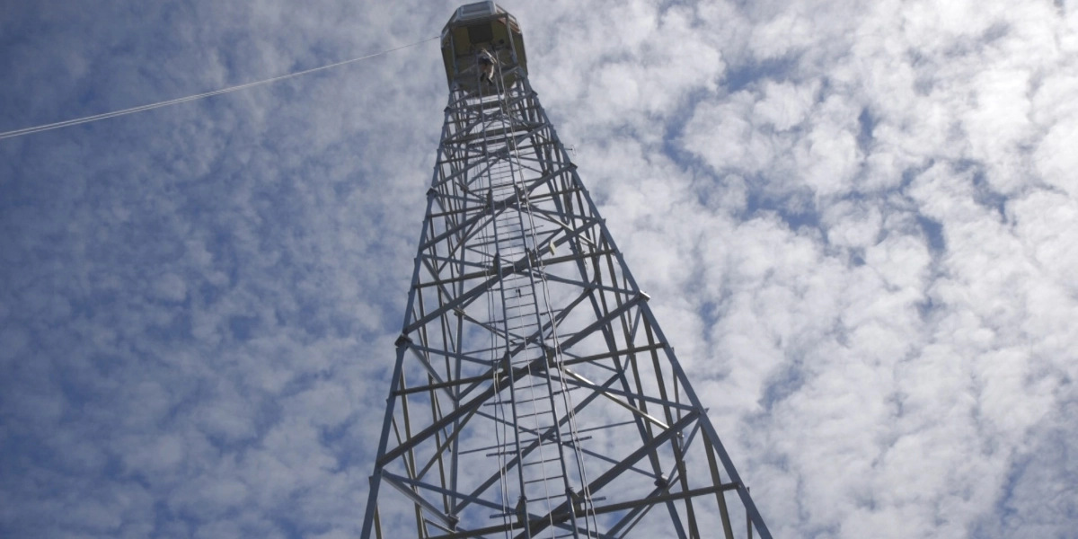 Event image for Fire Tower & Myrna Kostash: Here