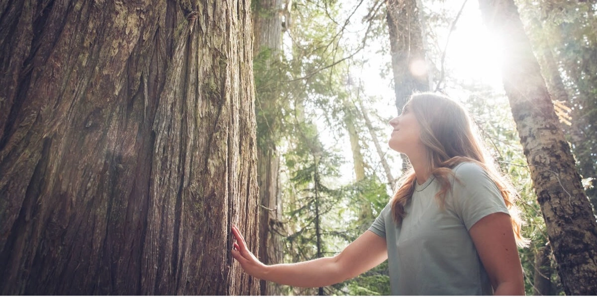 Event image for Forest Bathing / Nature Immersion Session | Monica Sander Burns