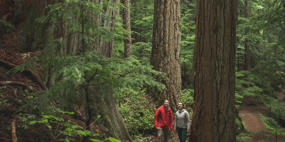 Event image for Nature-Based Leadership in a Changing World | Veronica Woodruff