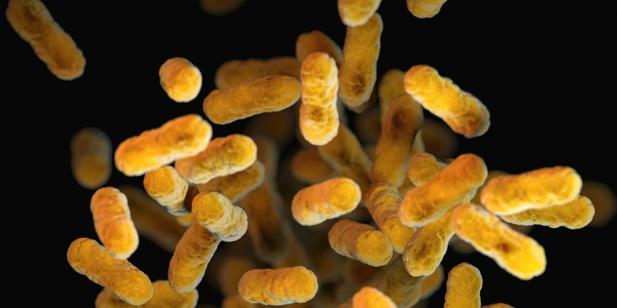 Event image for Meet Your Microbiome: The Science Changing How We Understand Health