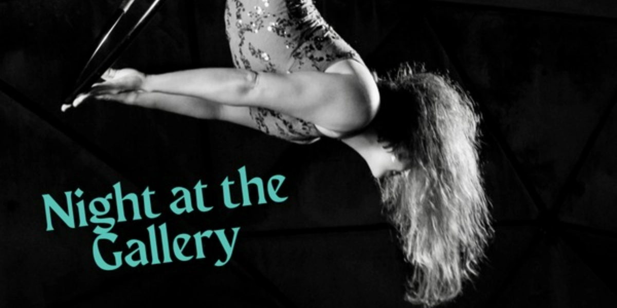 Event image for Night At the Gallery