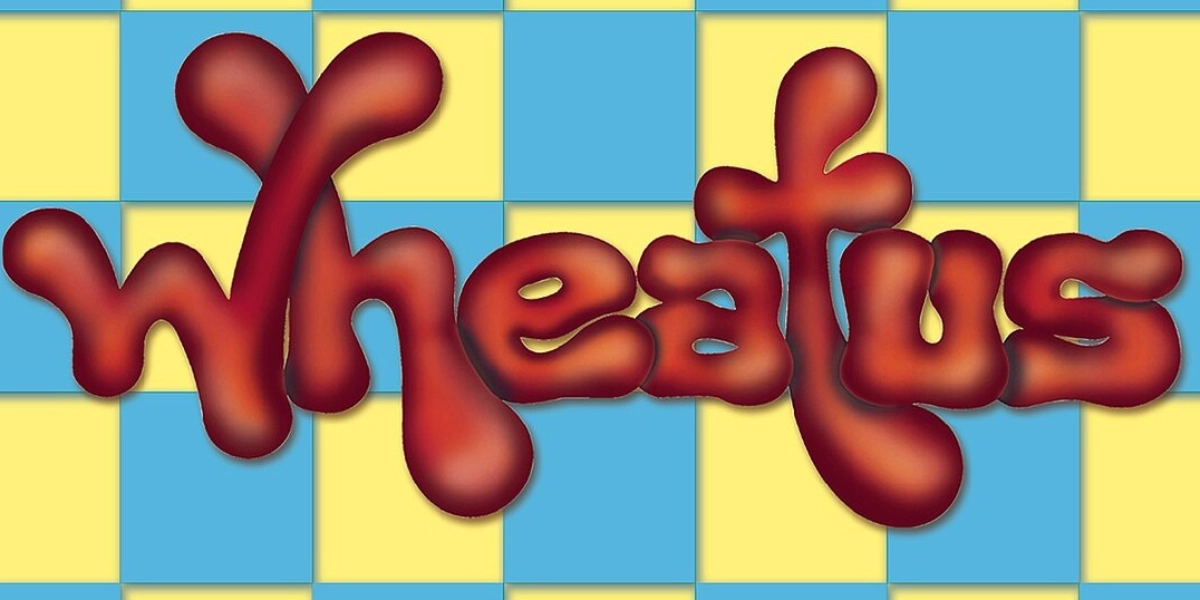 Event image for Wheatus at The Owl