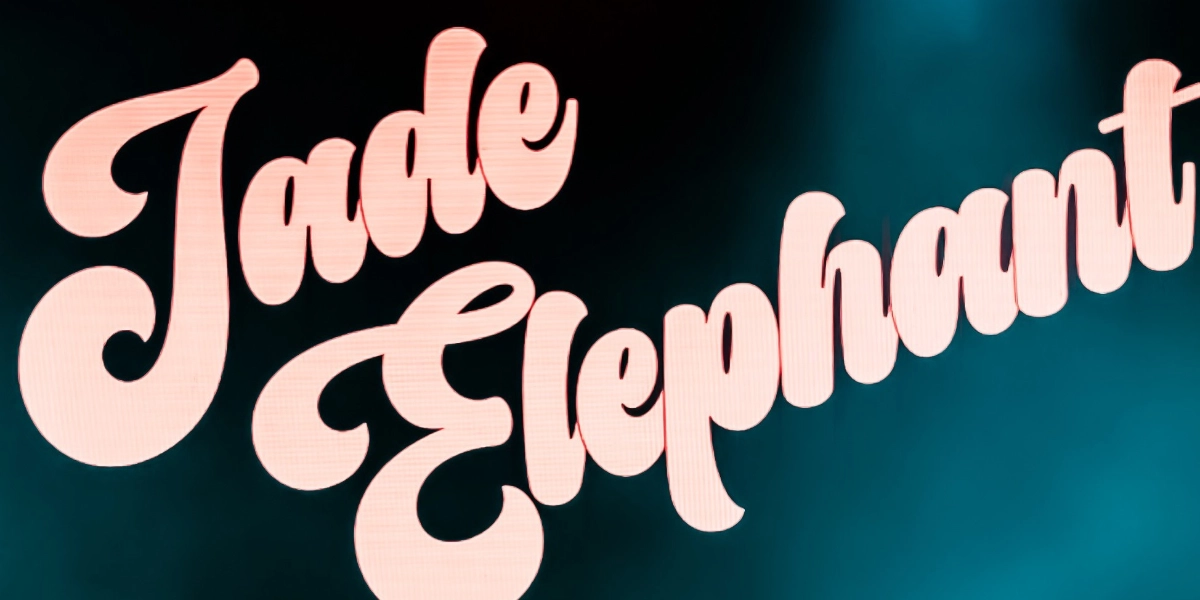 Event image for Jade Elephant at The Owl